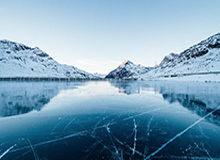 Heartglow监听者宠物数据挖掘